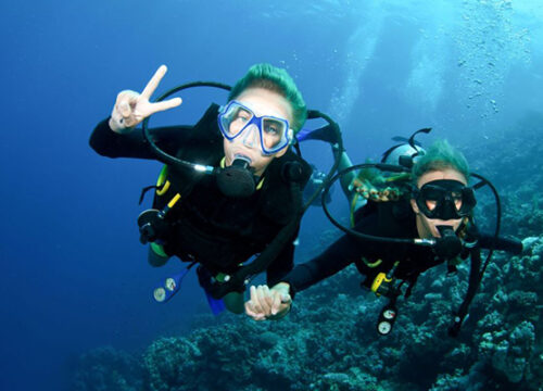 Intro Diving & Snorkeling Tour with Lunch & Drinks