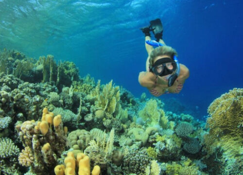Hula Hula Island ( Deluxe trip )