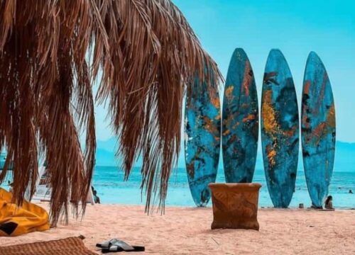Paradise Island VIP