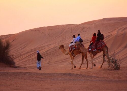 Family Safari Morning with Bedouin Village