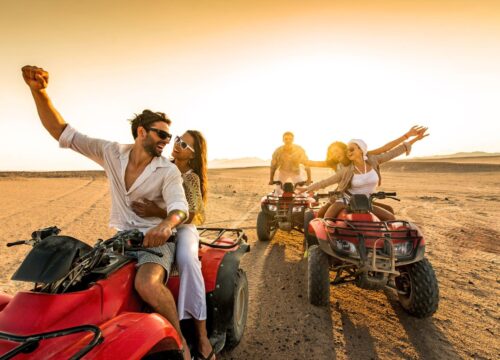 Morning Quad Bike Safari