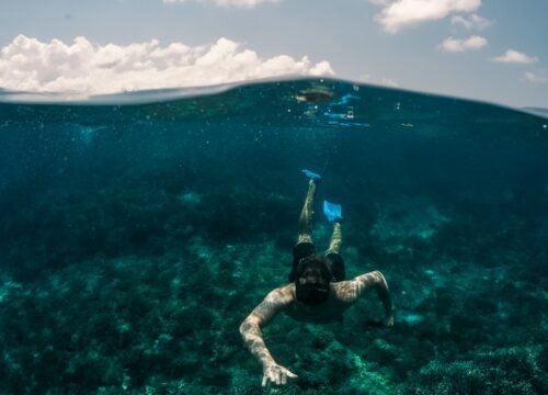 Abu Dabbab Turtle Beach group